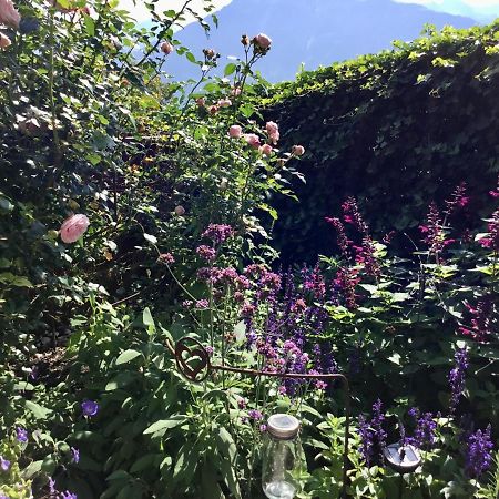 "Natur Pur" Ferienwohnung Mit Eigener Sauna Rons Extérieur photo