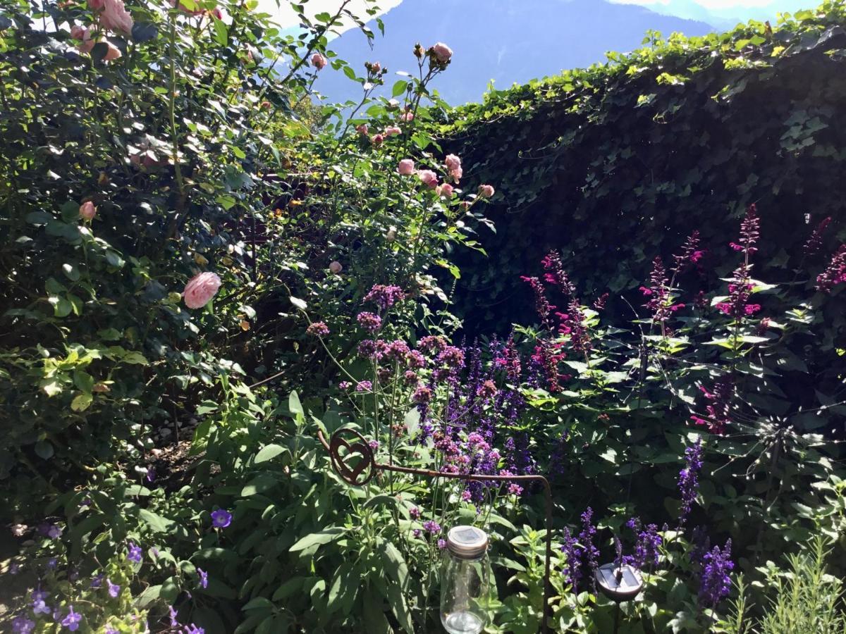 "Natur Pur" Ferienwohnung Mit Eigener Sauna Rons Extérieur photo