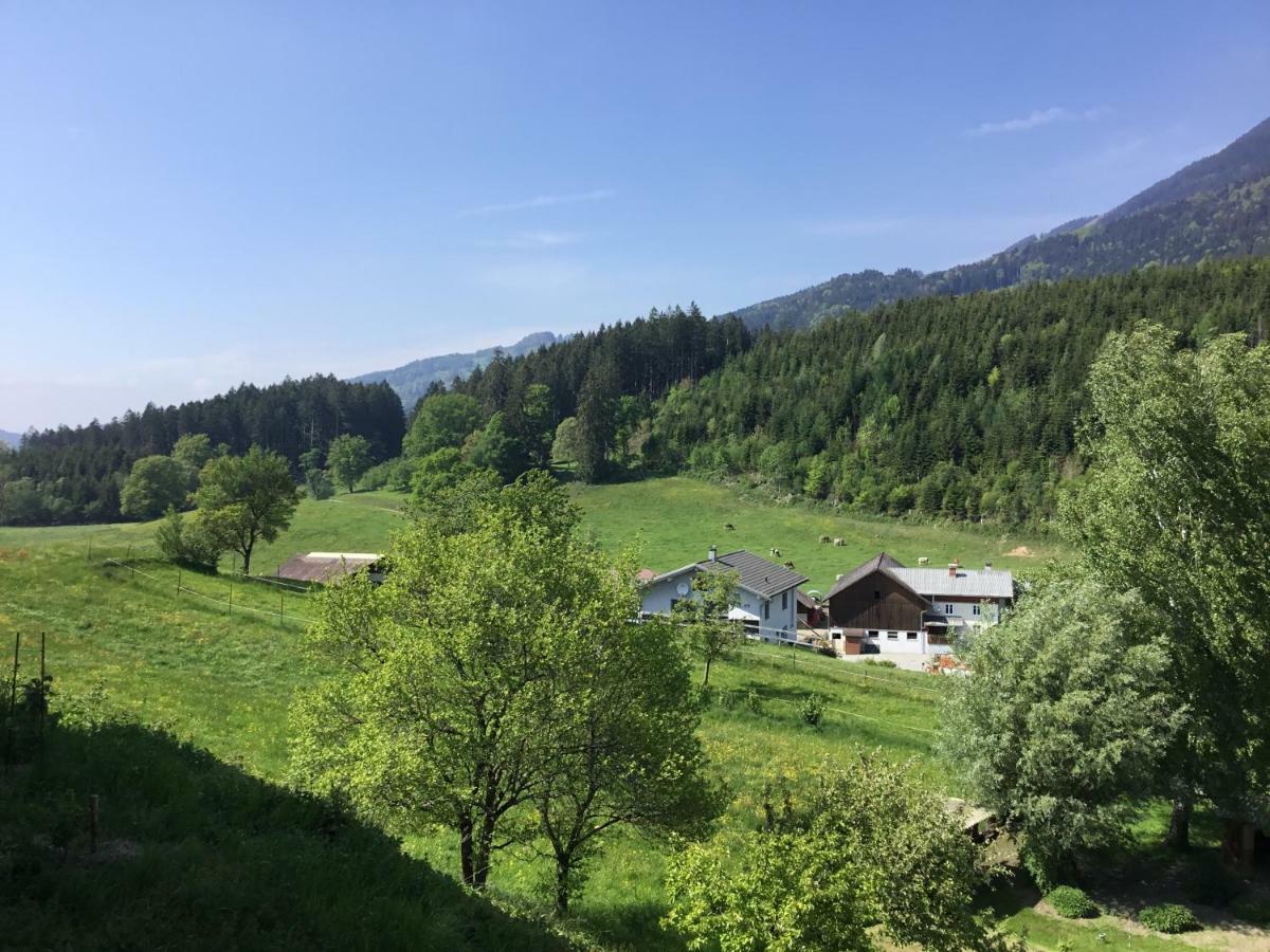 "Natur Pur" Ferienwohnung Mit Eigener Sauna Rons Extérieur photo